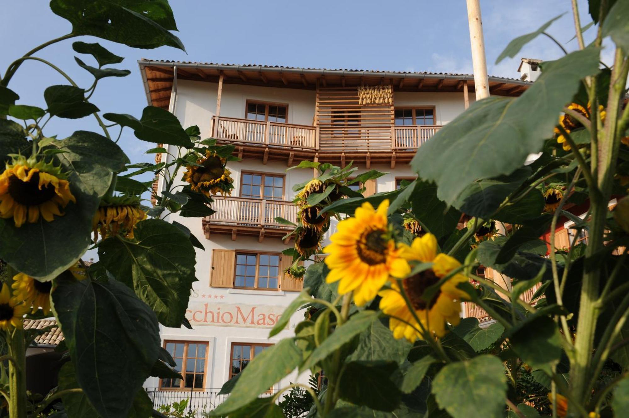 Hotel Relais Vecchio Maso Sopramonte ภายนอก รูปภาพ